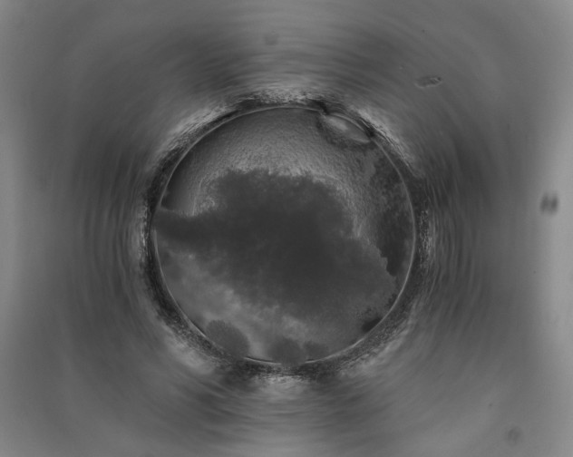 X0000091340590200708171412