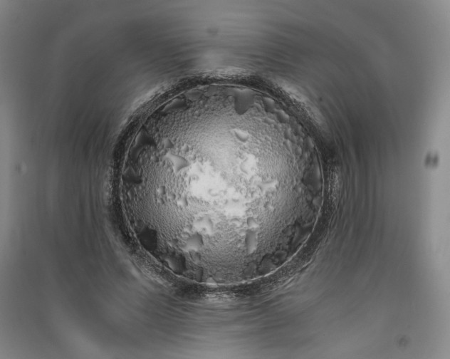 X0000091340591200708171412