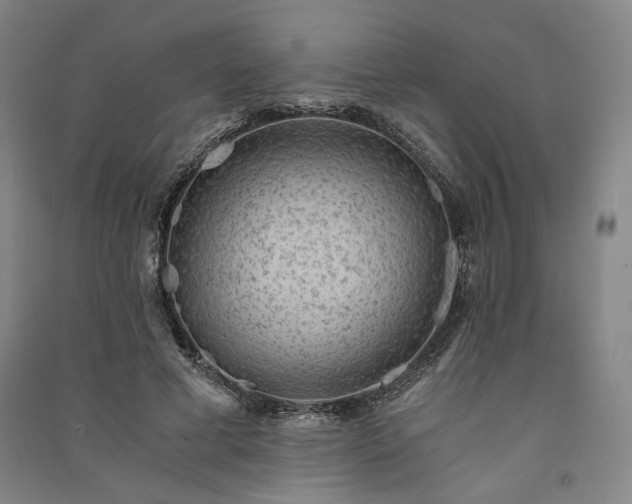 X0000091340593200708171412