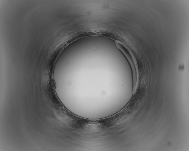 X0000091340595200708171412