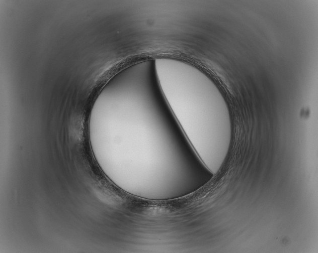 X0000091340596200708171412