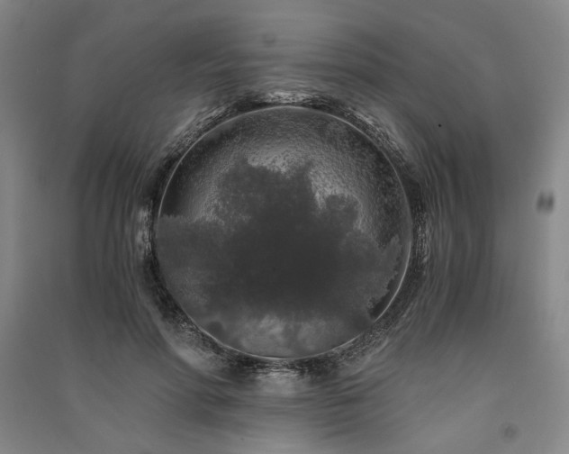 X0000091340598200708171412