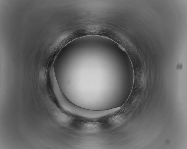 X0000091340601200708171412