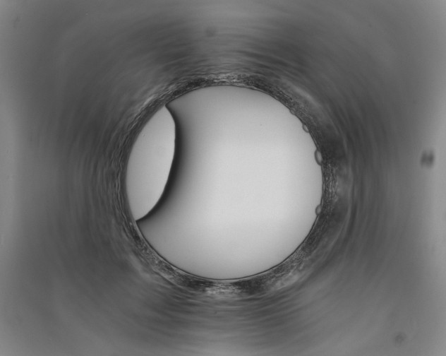 X0000091340603200708171412