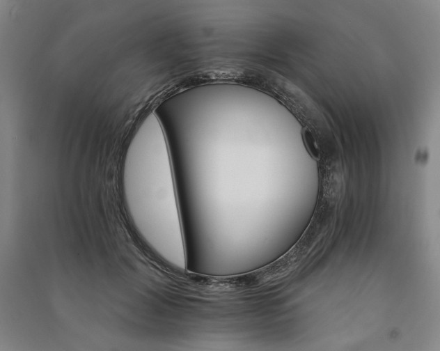 X0000091340604200708171412