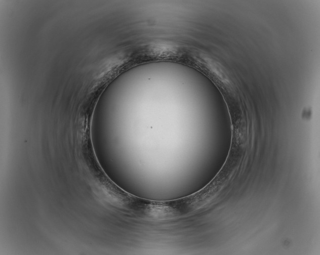 X0000091340605200708171412