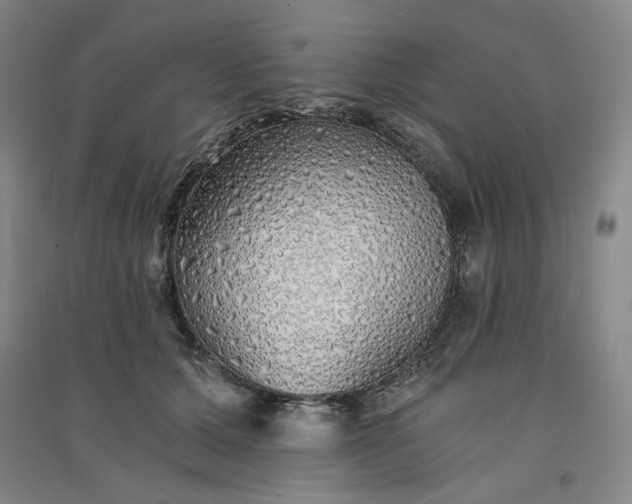 X0000091340607200708171412