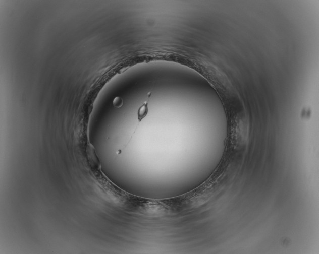 X0000091340608200708171412