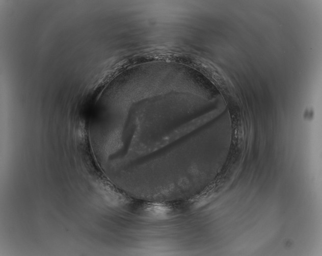 X0000091340610200708171412