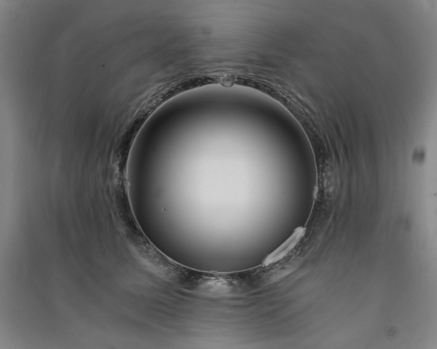 X0000091340611200708171412