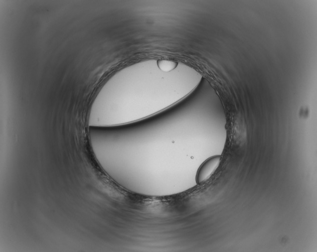 X0000091340616200708171412