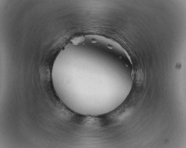 X0000091340617200708171412