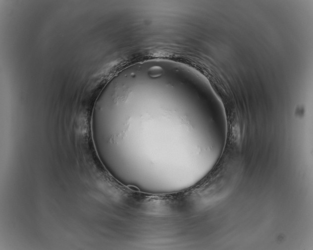 X0000091340620200708171412