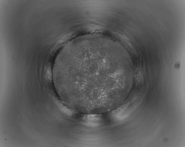 X0000091340622200708171412