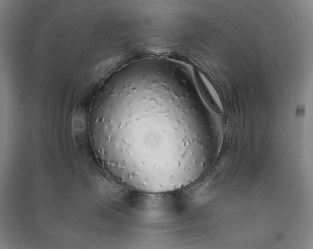 X0000091340623200708171412