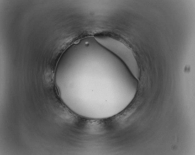 X0000091340624200708171412