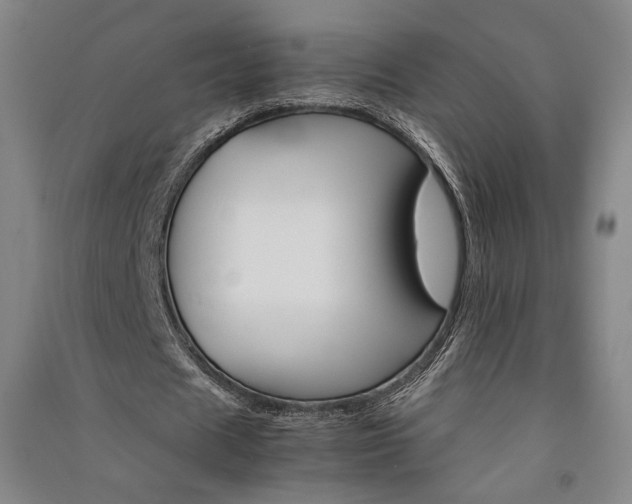 X0000091340625200708171411