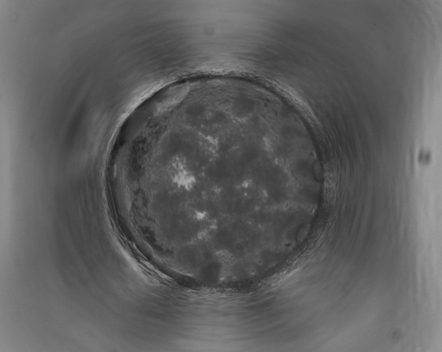 X0000091340626200708171411