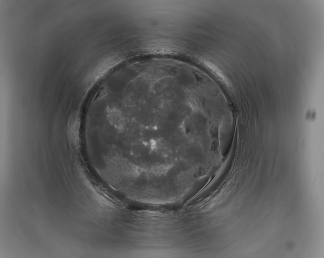 X0000091340627200708171411