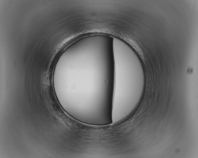 X0000091340628200708171411