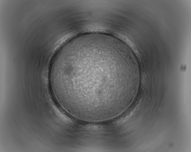 X0000091340629200708171411