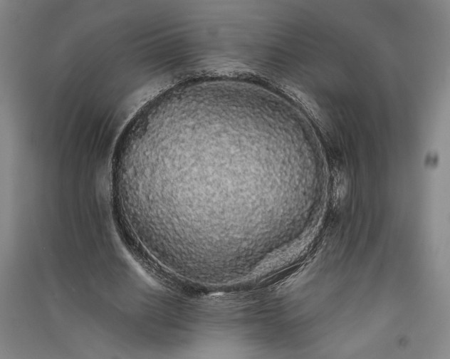 X0000091340630200708171411