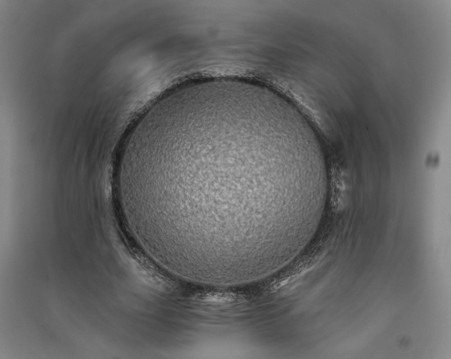 X0000091340631200708171411