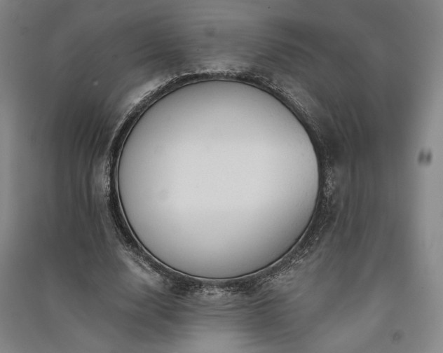 X0000091340632200708171411