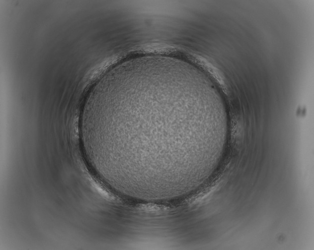 X0000091340633200708171411