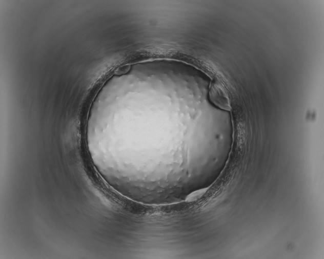 X0000091340634200708171411