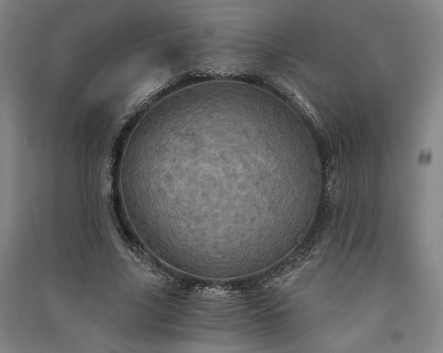 X0000091340635200708171411