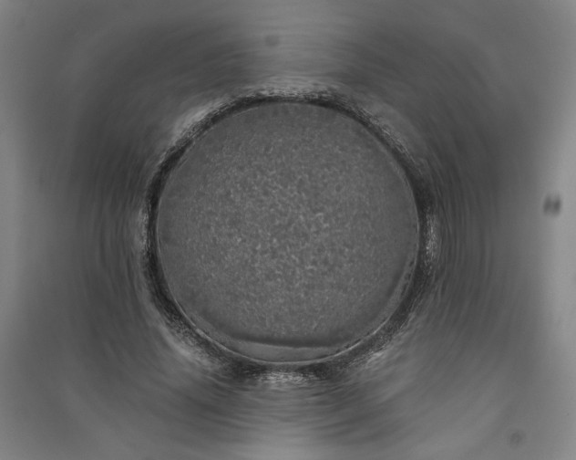 X0000091340636200708171411