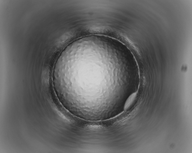 X0000091340637200708171411