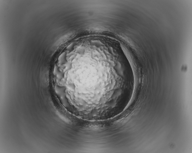 X0000091340638200708171411