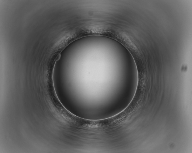 X0000091340639200708171411