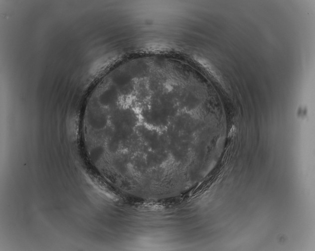 X0000091340640200708171411