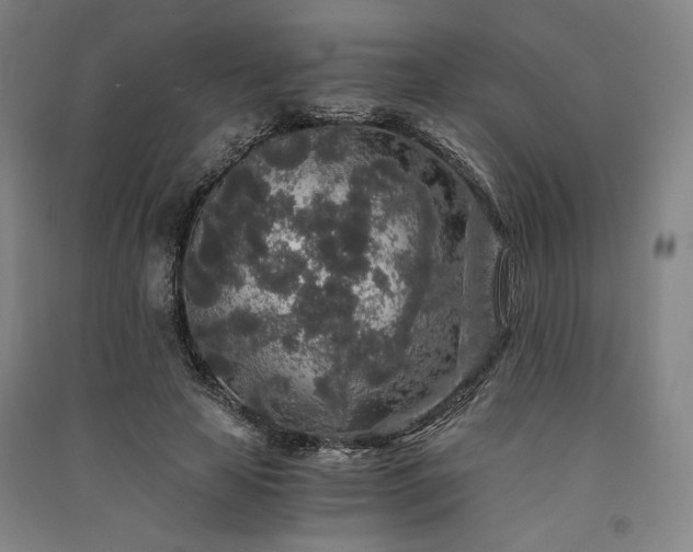 X0000091340641200708171411