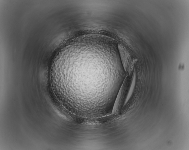 X0000091340642200708171411