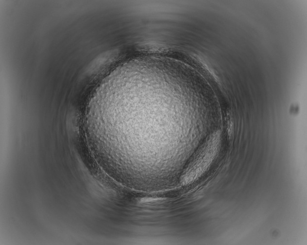 X0000091340643200708171411