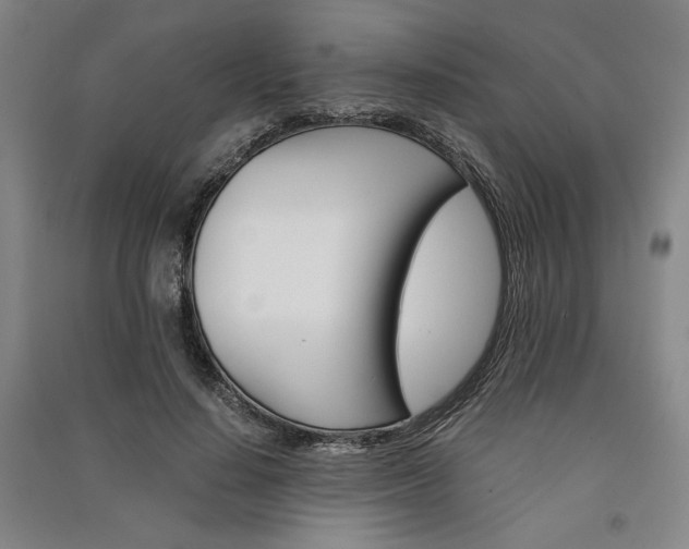 X0000091340644200708171411