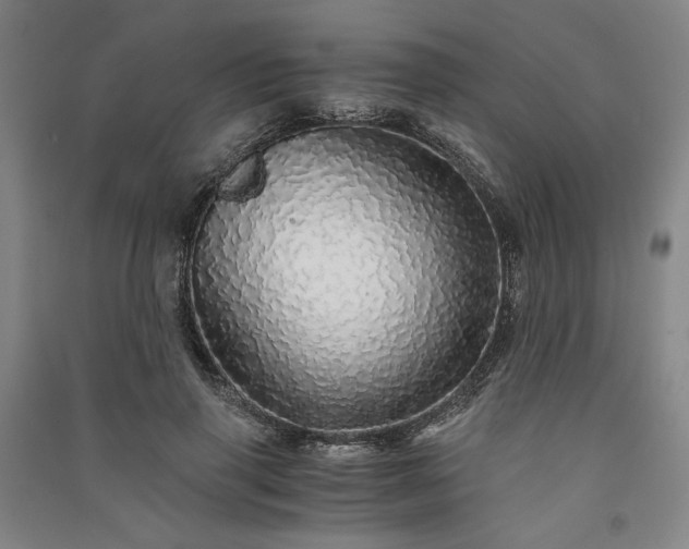 X0000091340645200708171411