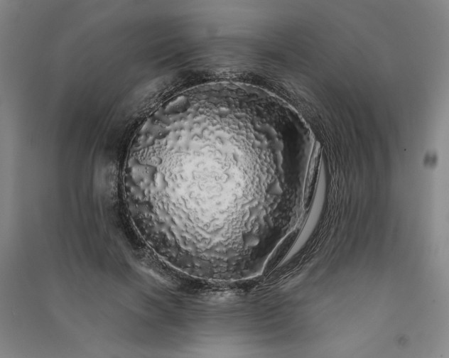 X0000091340646200708171411