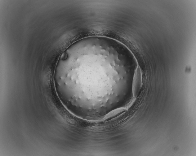 X0000091340647200708171411