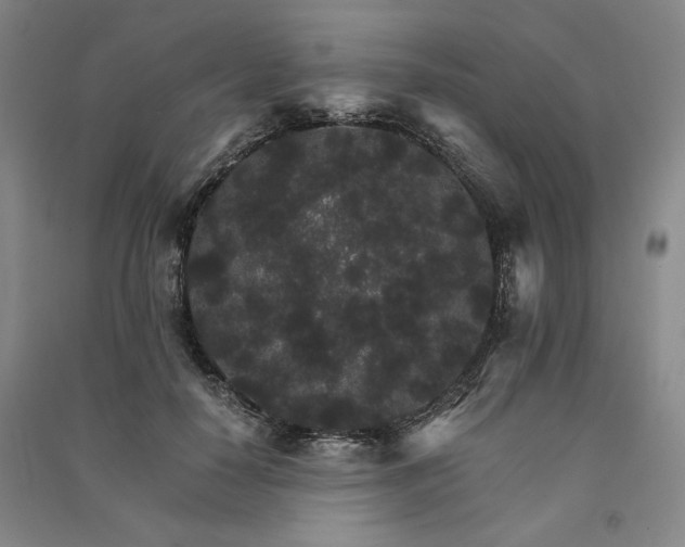 X0000091340650200708171412