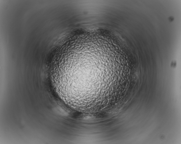 X0000091340658200708171412