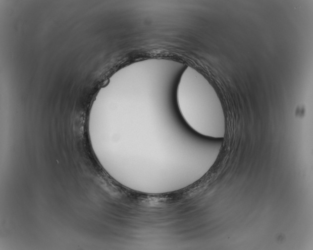 X0000091340664200708171412