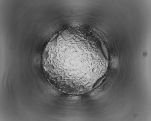 X0000091340665200708171412