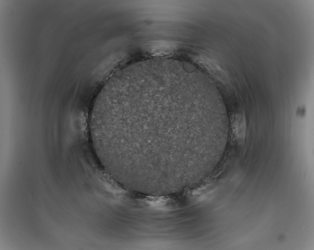 X0000091340667200708171412