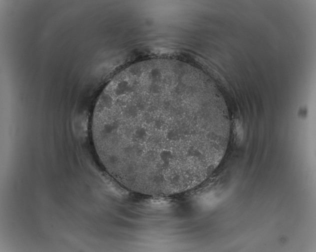 X0000091340668200708171412