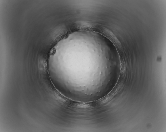 X0000091340669200708171412